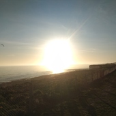 User avatar for João Esteves