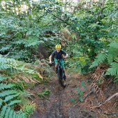 User avatar for Matt Connolly