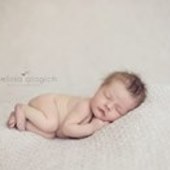 User avatar for Almina Reed