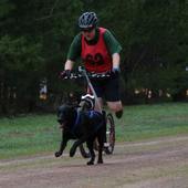 User avatar for Carmel Nottle