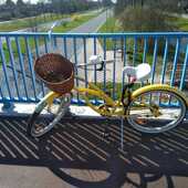 User avatar for Ursula Neering