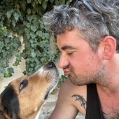 User avatar for Matthew Andrews