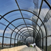 User avatar for Arden Zentic