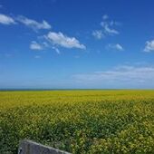 User avatar for Jason Lu