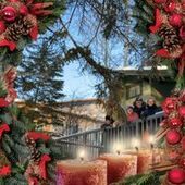 User avatar for Dan Mielke