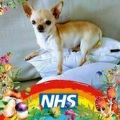 User avatar for David Crichton