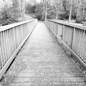 User avatar for Fiona Mowatt