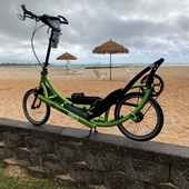 User avatar for Steven Campbell