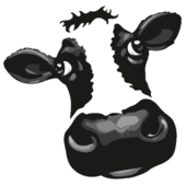 User avatar for Jeen Huisman