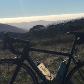 User avatar for Annett Happich