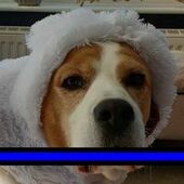 User avatar for Clare Whitfield