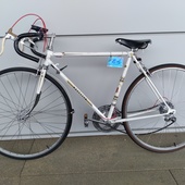 User avatar for Casey Dooley