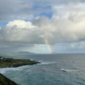 User avatar for Mark Want