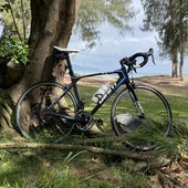 User avatar for Lynn Leonhard