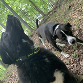 User avatar for Amy Ebenezer