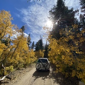 User avatar for arbor arbor