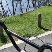 User avatar for Wendy Perkins