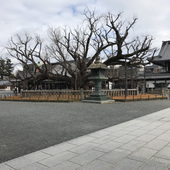 User avatar for B Van Baush