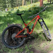 User avatar for Thadd Zehnder