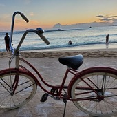 User avatar for Adrienne Wisok