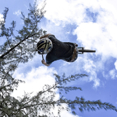 User avatar for Dane Teves