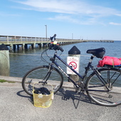 User avatar for Alysia Malmstrom