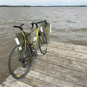 User avatar for Stephen Frech