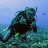 User avatar for Greg Walter