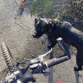 User avatar for Clare Woodhead