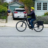 User avatar for Amy Harrington