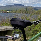 User avatar for Daniel Maher