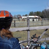 User avatar for Diane Macamaux