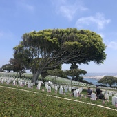 User avatar for Carlos Alvarado Puerto Rico