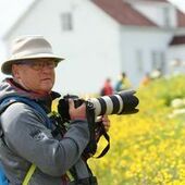 User avatar for Daniel Lessard