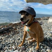 User avatar for Jeremy Thompson