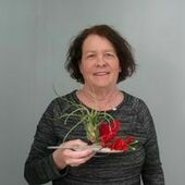 User avatar for Denyse Proulx