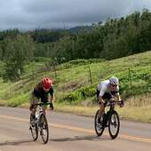 User avatar for Everett Jellinek