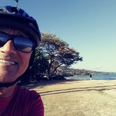 User avatar for Curtis Shiramizu