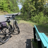 User avatar for Micheline Comeau