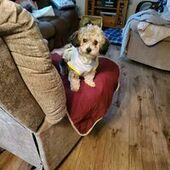 User avatar for Amy Jacobitz