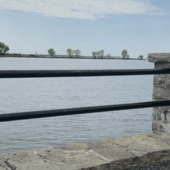 User avatar for Jojo Prude