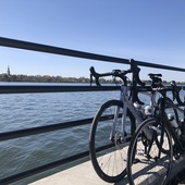 User avatar for Catherine Emmanuelle Leclerc