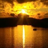 User avatar for Andre Dussault