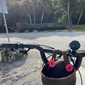 User avatar for Meghan Johnson 