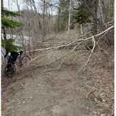 User avatar for Denis Bourget