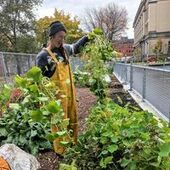 User avatar for Charleen Kotiuga