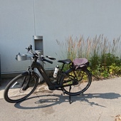 User avatar for Denis Taillefer