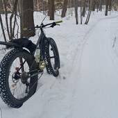 User avatar for Denis Taillefer