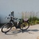 User avatar for Denis Taillefer for comment 203277