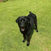 User avatar for Julie H